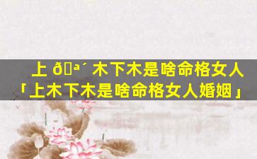上 🪴 木下木是啥命格女人「上木下木是啥命格女人婚姻」